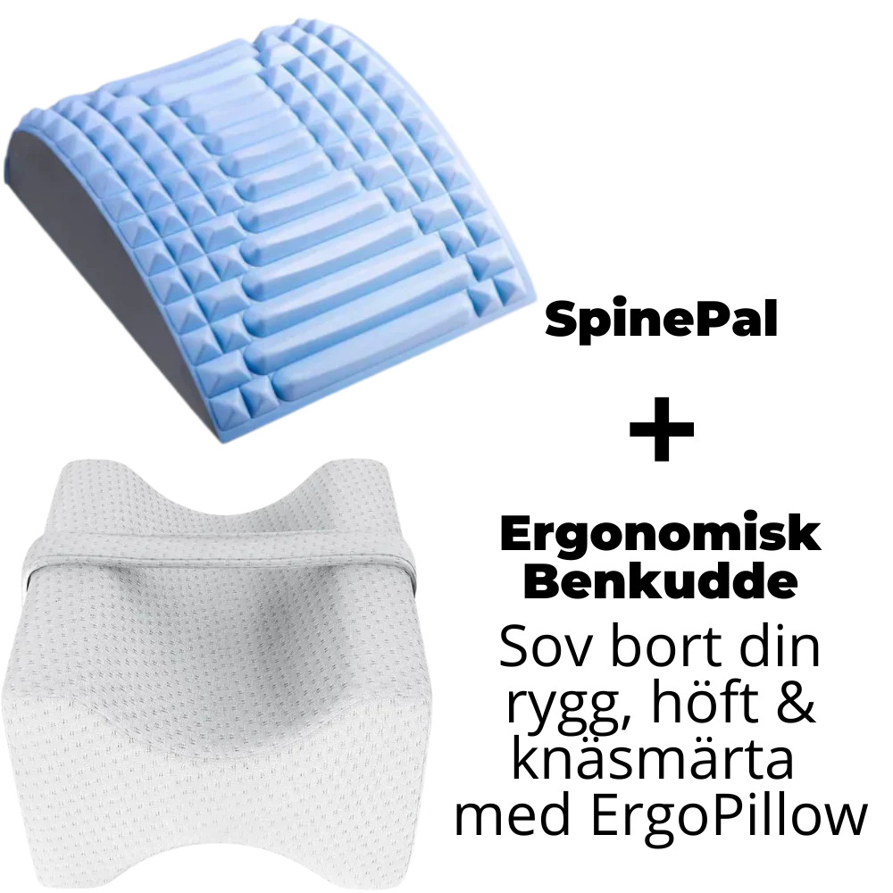 SpinePal 1 + 1 ErgoPillow