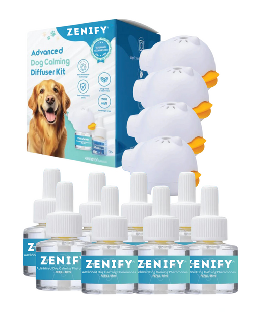 Zenify™ 4 diffusor + 8 refills (US)
