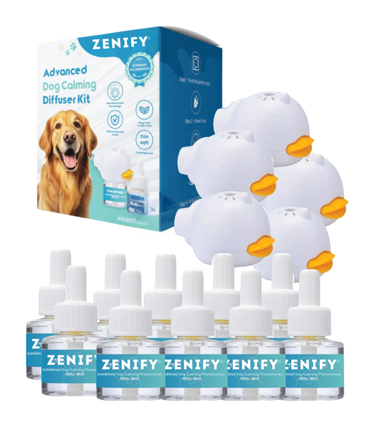 Zenify™ 5 diffusor + 10 refills (US)